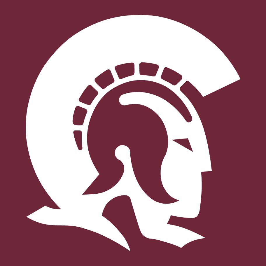 Little Rock Trojans 2015-Pres Secondary Logo diy fabric transfer